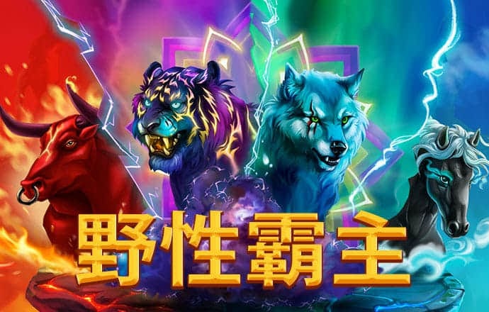 中欧体育网页登入入口下载